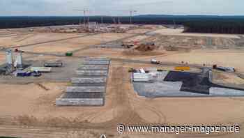 Tesla Gigafactory Grünheide Berlin: Konflikt um Pfahlbauten mit Umweltschützern