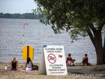 Swimming not recommended at Ottawa's four available public beaches - Ottawa Citizen