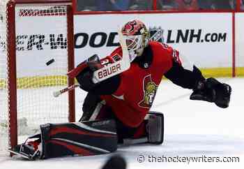 Ottawa Senators 2019-20 Goalie Review: Nilsson, Hogberg & Anderson - The Hockey Writers