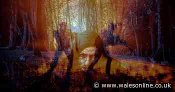 ADVERTORIAL: Surf, guitars and England as a rogue state