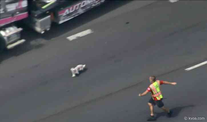 WATCH: First responders chase tiny dog down freeway in DC