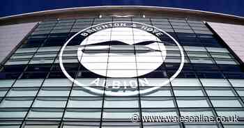 Brighton vs Newcastle United TV channel and live stream info