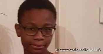 CPS won't prosecute teen over death of boy, 13, who was pushed into river