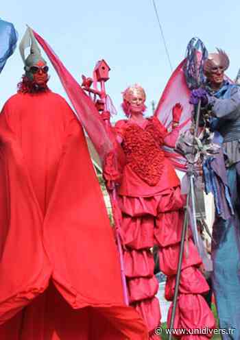 La parade des Lilamayis mercredi 22 juillet 2020 - Unidivers