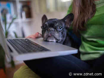 Work from home and now you're moving? Here's what to know before you rent or buy