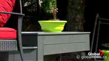 What the Deck Episode 5 – Review