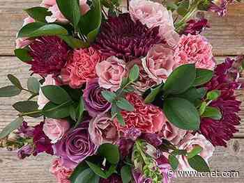 Best flower delivery services for 2020     - CNET