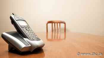 As courts use new technology during COVID-19, some clients are being left behind, lawyers warn