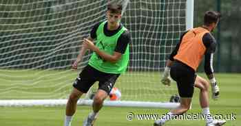 The Newcastle XI fans want to see at Brighton