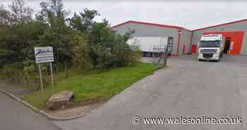 Authorities investigate batch of virus cases at Welsh food plant