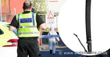 Police appeal for help to find machete used in knife and gun attack