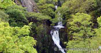 Child washed down 100ft waterfall at Welsh beauty spot