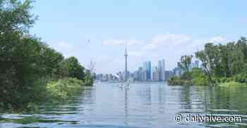 Another heat wave expected in Toronto later this week | News - Daily Hive