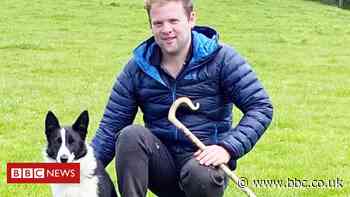 Skipton sheepdog record: Most expensive sells for £12k