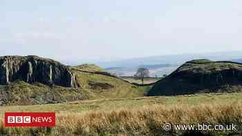 Hadrian's Wall illegal metal detector vigilance plea