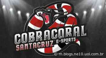 Santa Cruz: Além do FIFA, Cobra Coral E-Sports também terá time no Free Fire - Blog do Torcedor - NE10