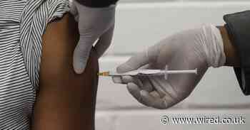How does the trial Oxford coronavirus vaccine work?