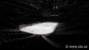 Game on: To stem financial losses, the NHL and other pro sports leagues prepare to resume play amid COVID-19