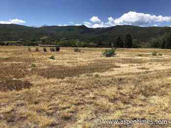 Entrepreneur pursues privately funded sportsplex in El Jebel area - Aspen Times