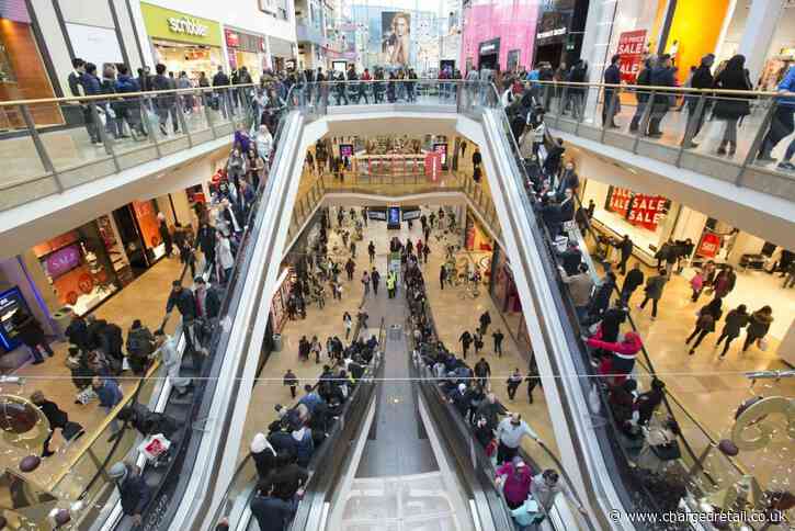 Hammerson launches Crowd Checker feature for “nervous” shoppers who want to beat the crowds