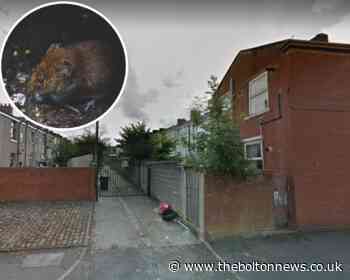 'There’s rats everywhere’ - resident's anger over state of Blackburn's streets