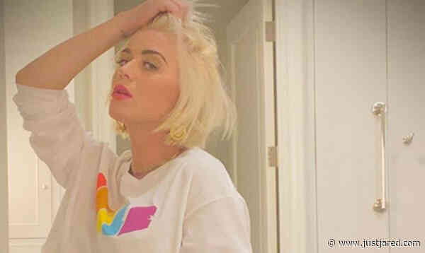 Pregnant Katy Perry Bares Baby Bump in a Crop Top