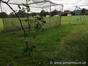 Cricket can resume after caravans leave Heslington sportsfield
