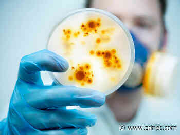 IBM researchers tout potential key to reversing antibiotic resistance