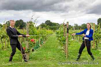 Training courses aim to end ‘tug of war’ within businesses