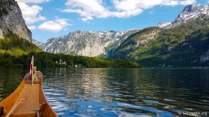 Plattformregulierung: Österreich kündigt eigenes Gesetz gegen Hass im Netz an