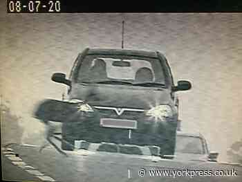 Pictures show car narrowly missing collision with deer on A64