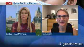 Mask facts and fiction