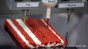 Plus von 37 Prozent beim Fleischersatz – und das ist erst der Anfang