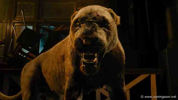 Rogue Trailer: Megan Fox Leads a Rescue Mission