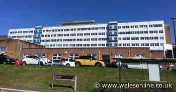 Facelift for Swansea's Singleton Hospital where new cladding is to go up