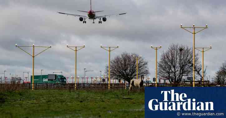 Campaigners launch legal challenge against UK's green recovery plans