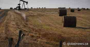 PrairieSky Royalty reports lower second quarter crude oil production