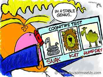 Claytoonz: Stable Cognitive Genius