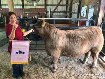 Niagara County 4-H Online Auction