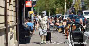 Life in Cardiff's bustling and radically-changed Wellfield Road