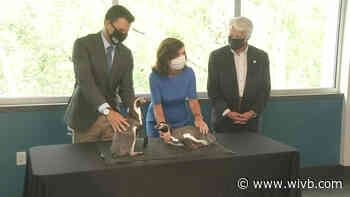 Lieutenant Governor working to save Niagara Falls tourism industry following hit because of pandemic