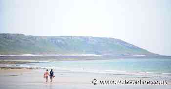 New holiday park plan for Gower and what planning officers think