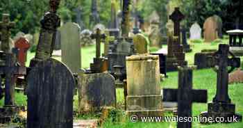 Council burial and cremation services 'maxed out' at virus peak