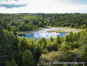 Conservation area east of Edmonton adds three parcels to protected lands - Edmonton Journal