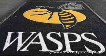 Wasps star takes up new coaching position - Coventry Live