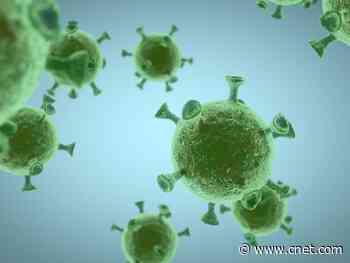 The coronavirus is mutating, but you shouldn't freak out about it     - CNET