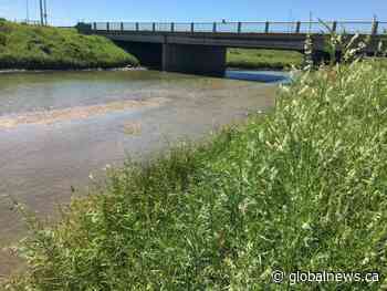 Coutts and Milk River implement water restrictions amid water shortage in the Milk River