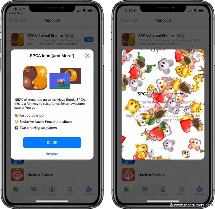 'Apollo' Reddit App Donating All of Today's Purchase Proceeds to Animal Shelter