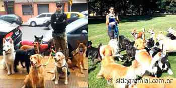 Trabajadores caninos vuelven a la actividad en la Ciudad de Buenos Aires “gracias a la lucha colectiva” - Sitio Gremial