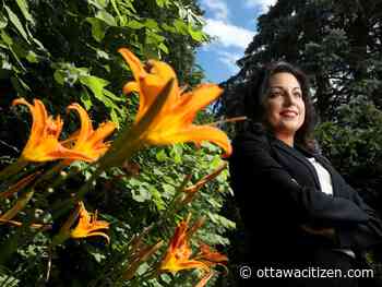 uOttawa team examines effects of oral contraceptives on brain development - Ottawa Citizen